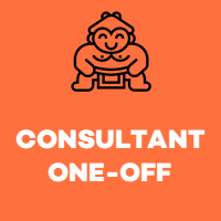 seo consultant one-off