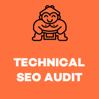 technical seo audit